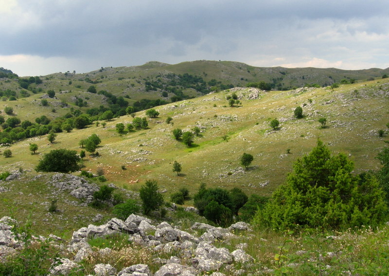 Sfika landscape