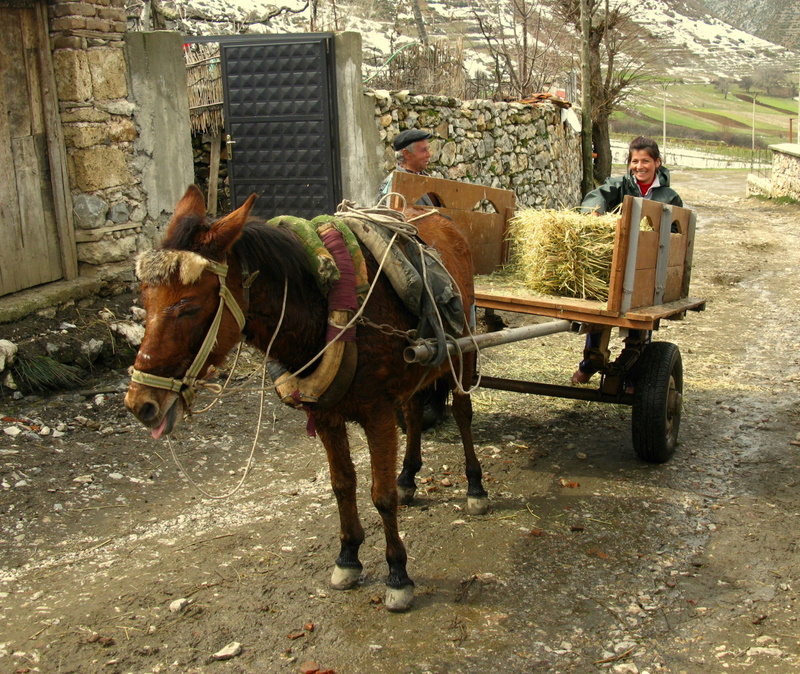 Faith in a Forgotten Place