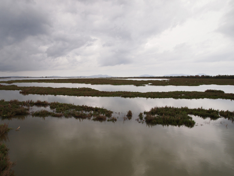 Kalamas wetlands