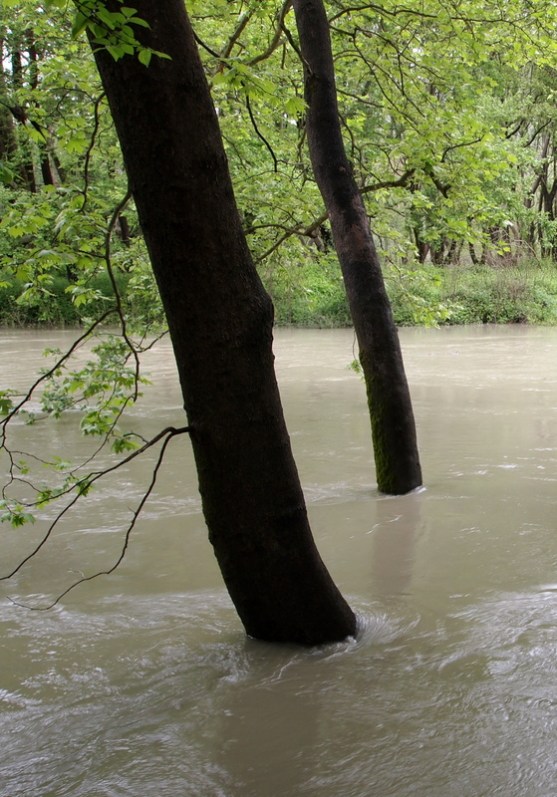 Glimpsed, In Passing: 2012