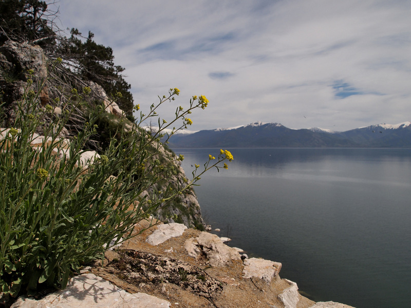 View from Golem Grad