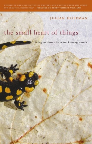 The Small Heart of Things