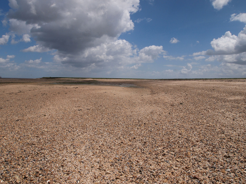 Where the River Meets the Sea