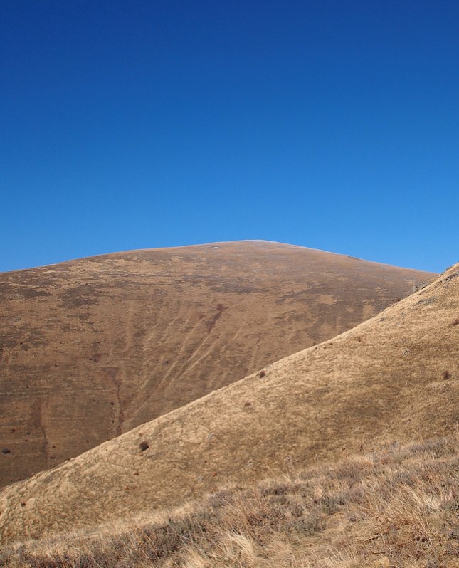 In the Eyes of a Bear