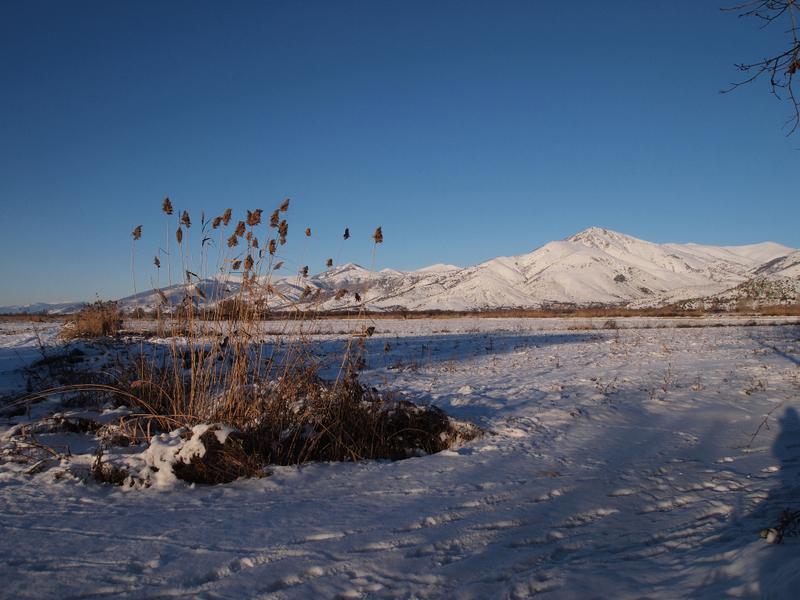 Snow on the plain