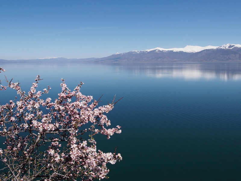 Blossom season, Great Prespa Lake