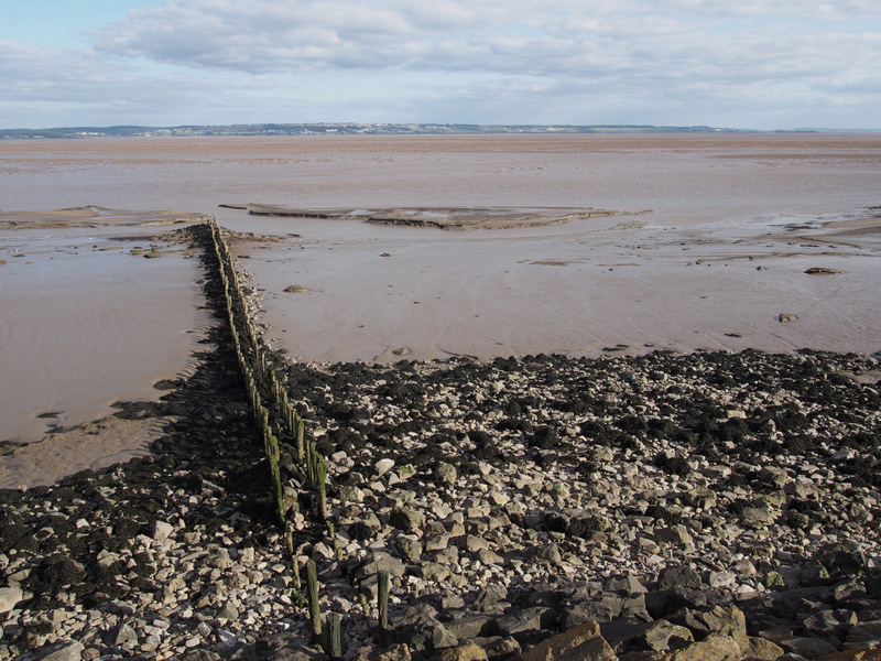 Severn Estuary