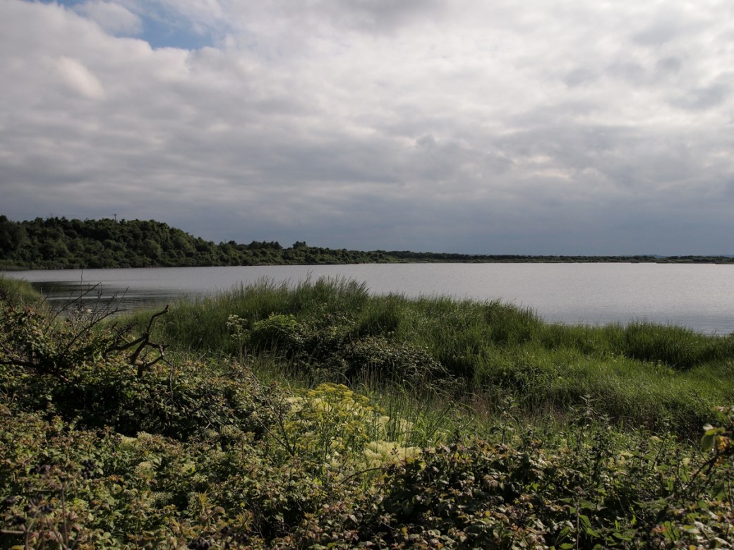 Cliffe Pools