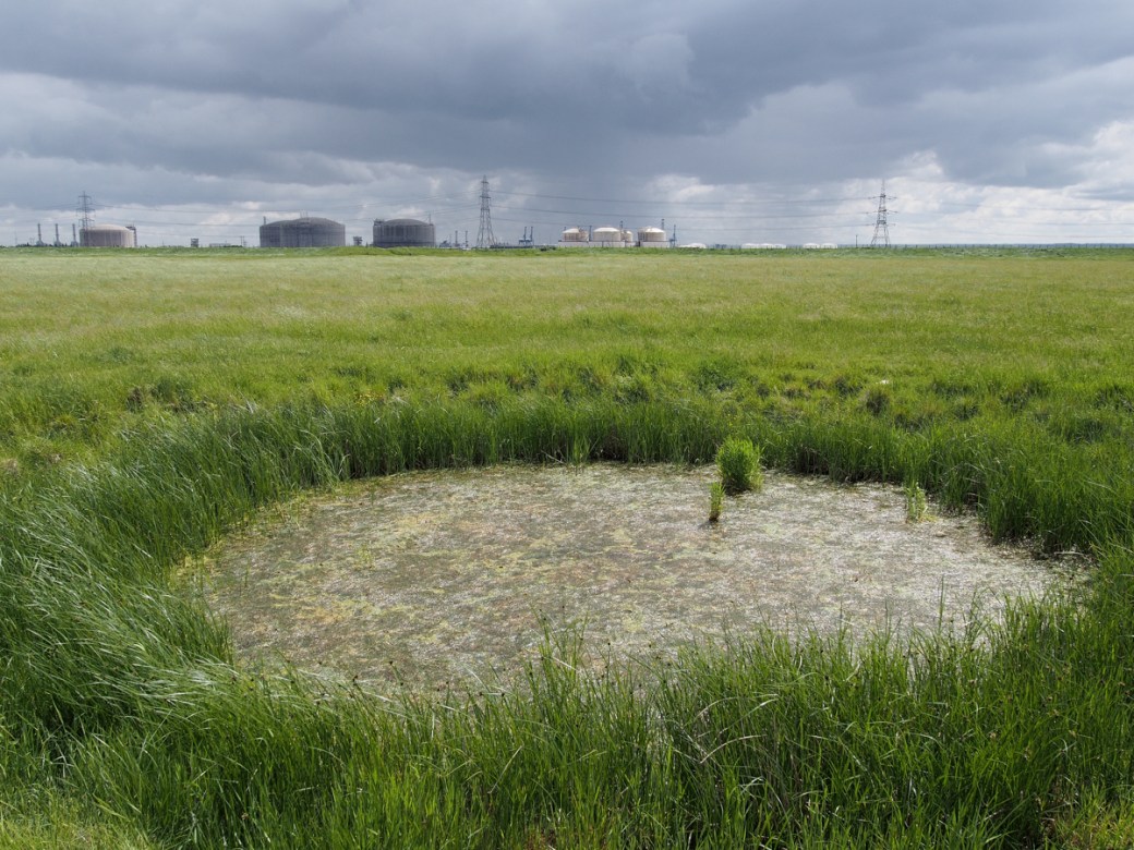 Bomb crater, Allhallows Marsh