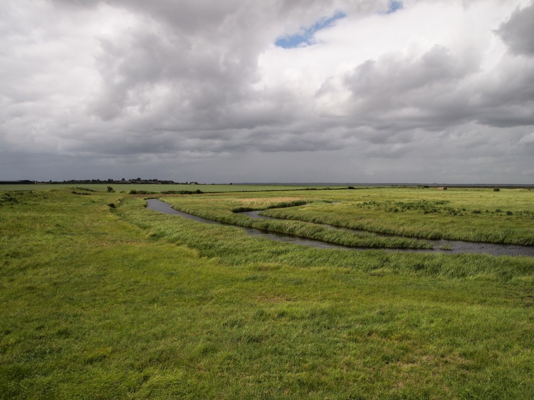 Allhallows Marshes 2