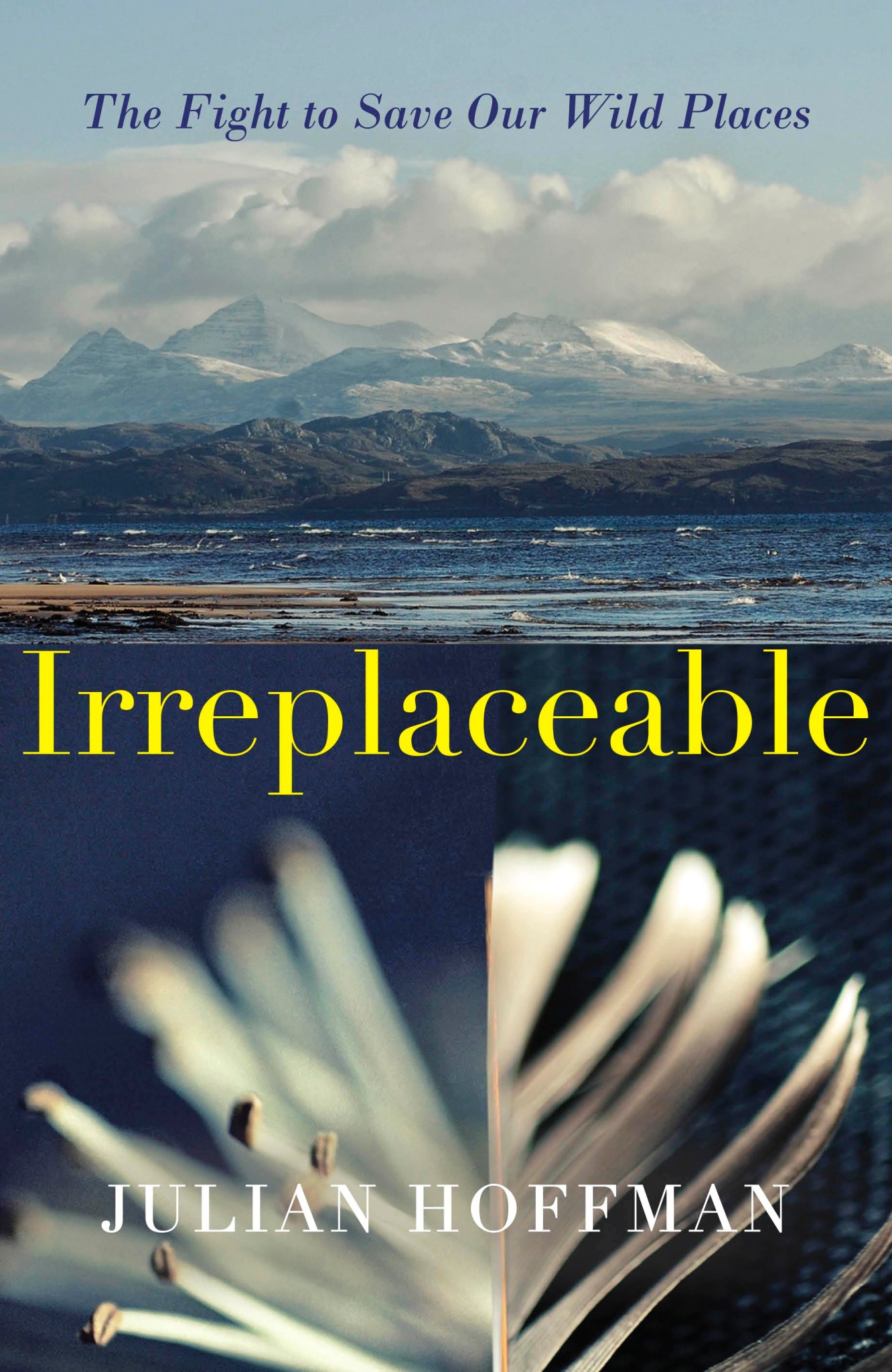 irreplaceable cover