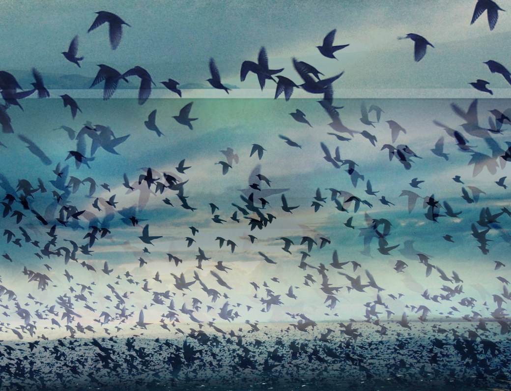 Irreplaceable Endpapers