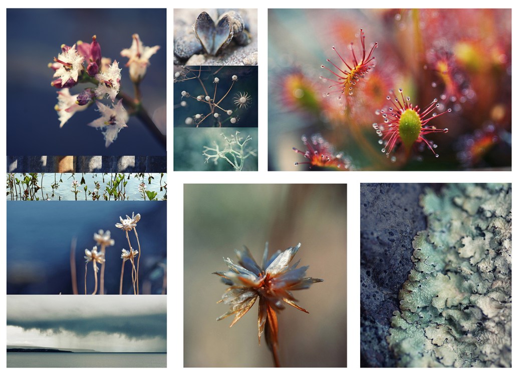 Gairloch Museum exhi list.indd